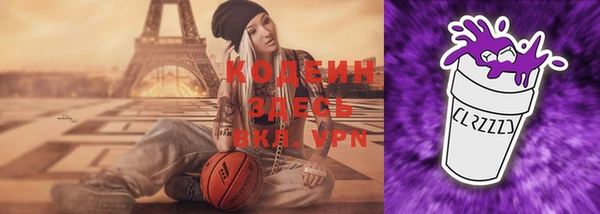индика Куйбышев