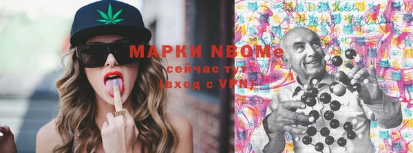 индика Куйбышев