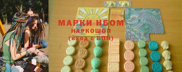 индика Куйбышев