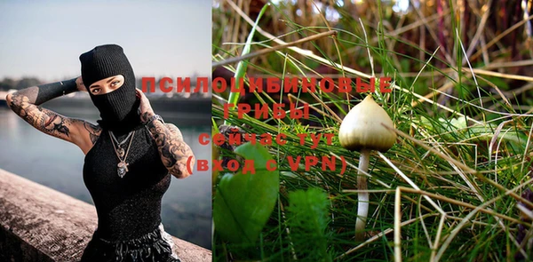винт Кукмор