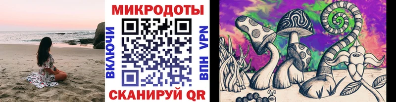 Псилоцибиновые грибы MAGIC MUSHROOMS Власиха